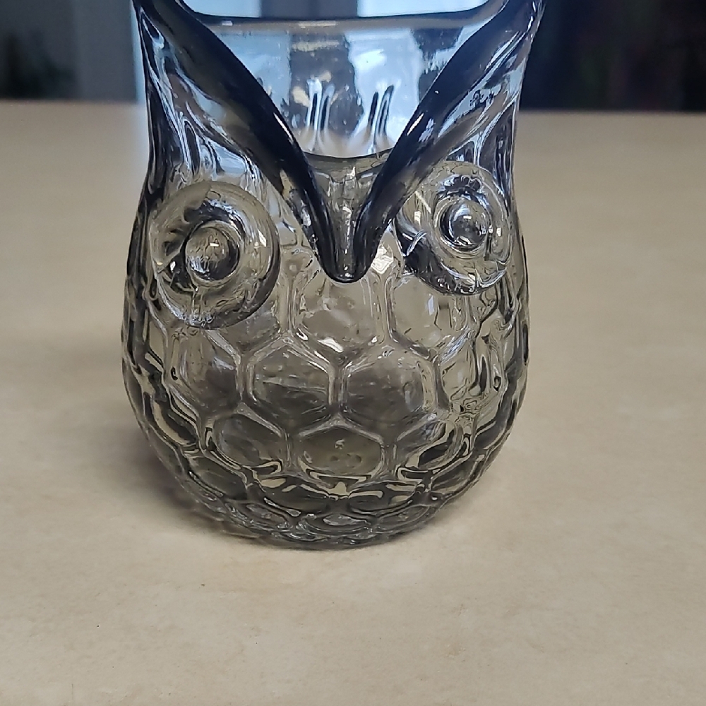 Owl-Shaped Glass Vase